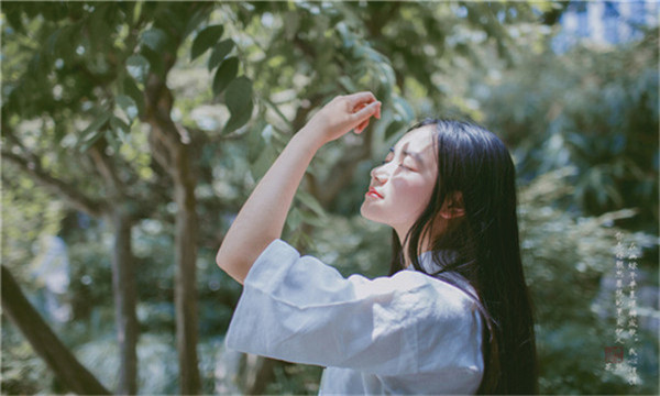 新罗试管代生的成本分析真的贵到无法承受吗？